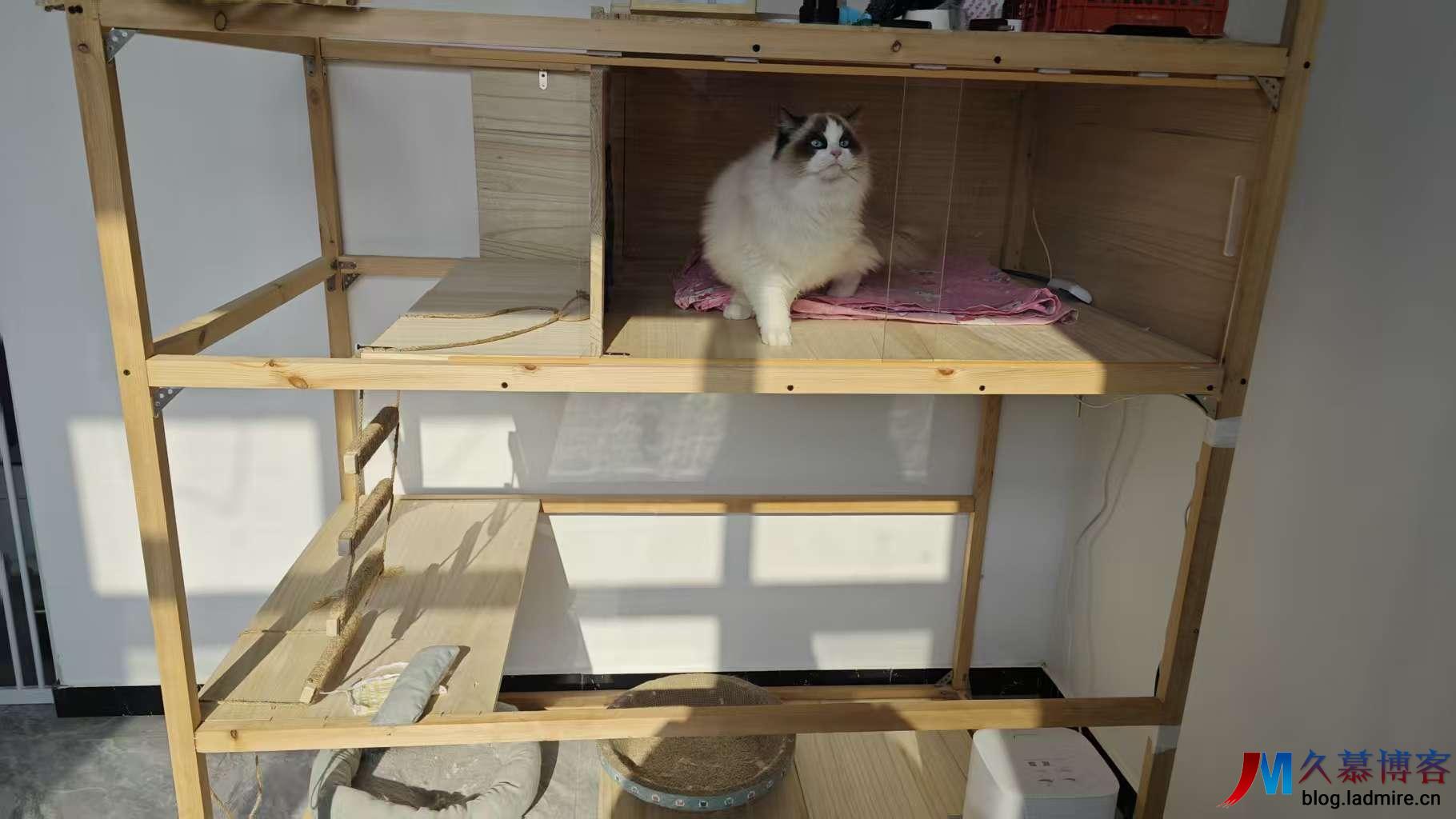 拒绝千篇一律！自制 190cm 实木猫屋制作记录与设计细节 - 附带实木猫屋图纸